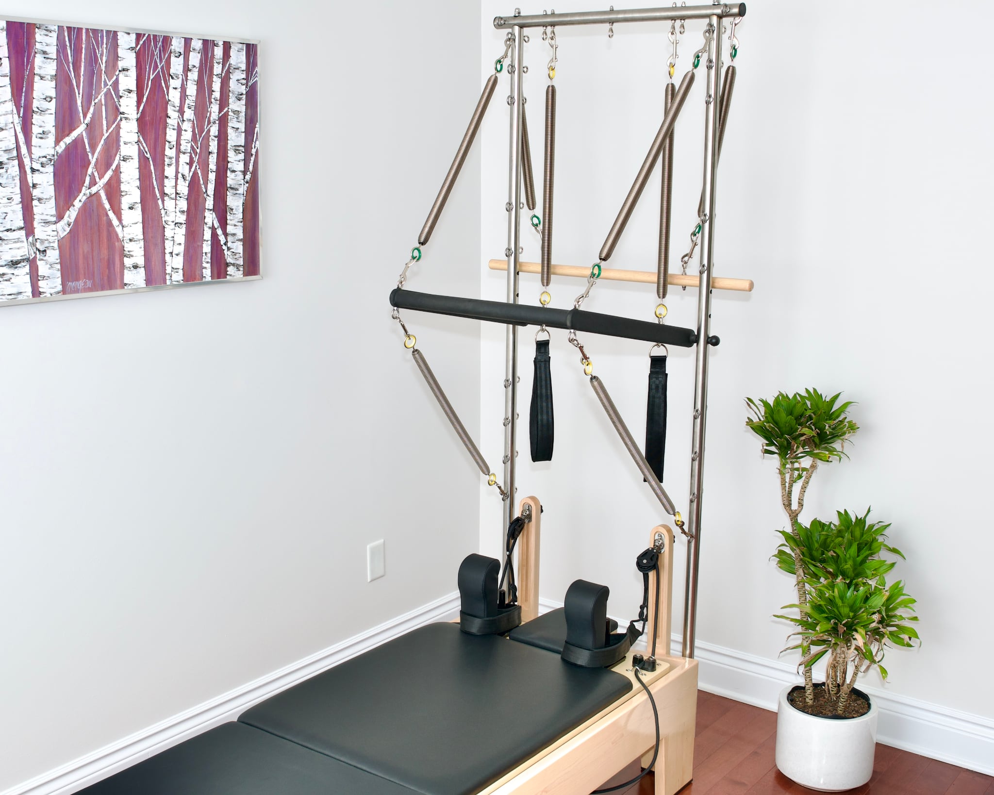 Maple Elite Studio Reformer With Tower – Fortus Pilates